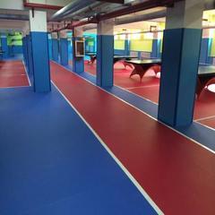 乒乓球塑膠運(yùn)動地板 乒乓球館地膠